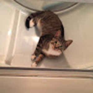 Meet your Posher, Kris